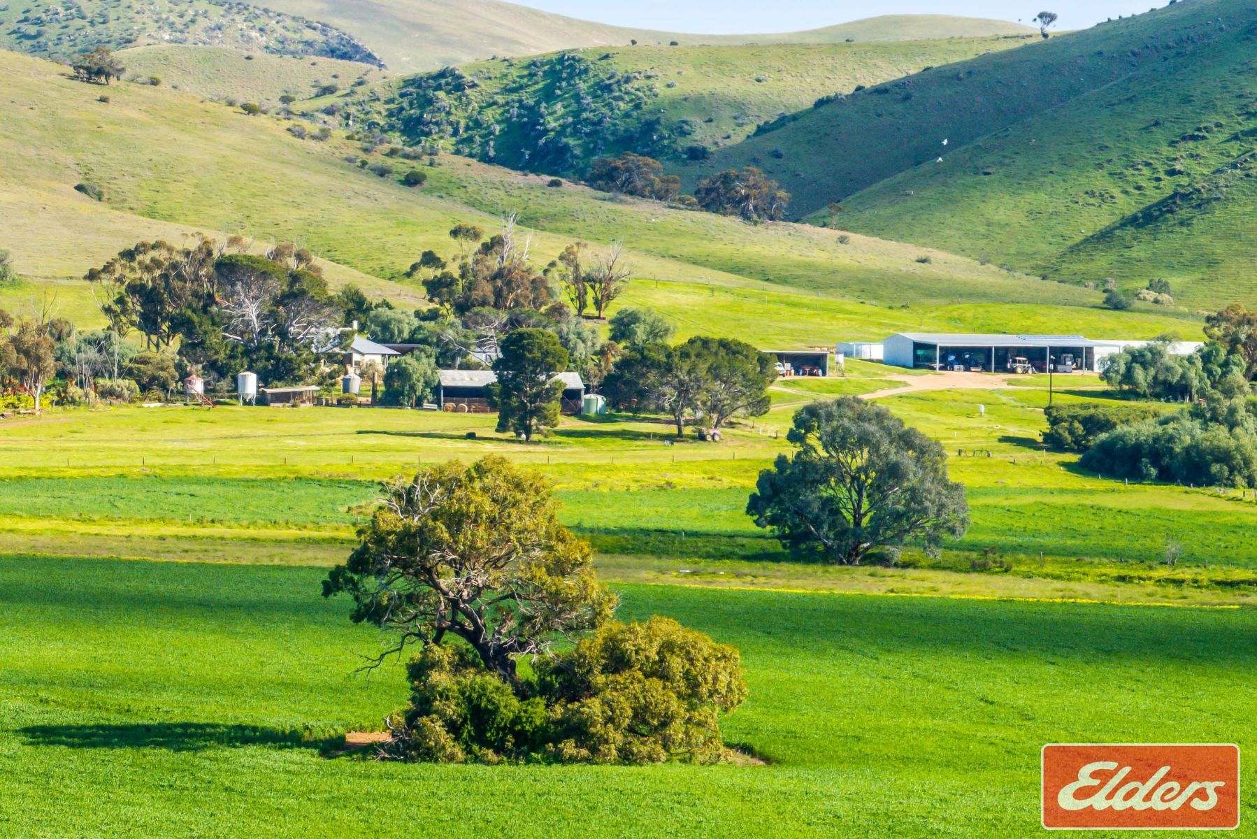 997 Three Chain Road, Cambrai For Sale by Farmbuy.com - image 10
