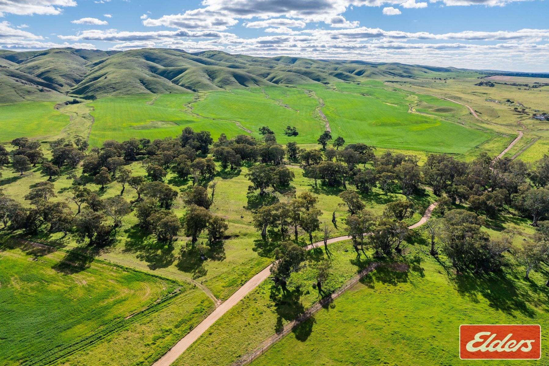 997 Three Chain Road, Cambrai For Sale by Farmbuy.com - image 27