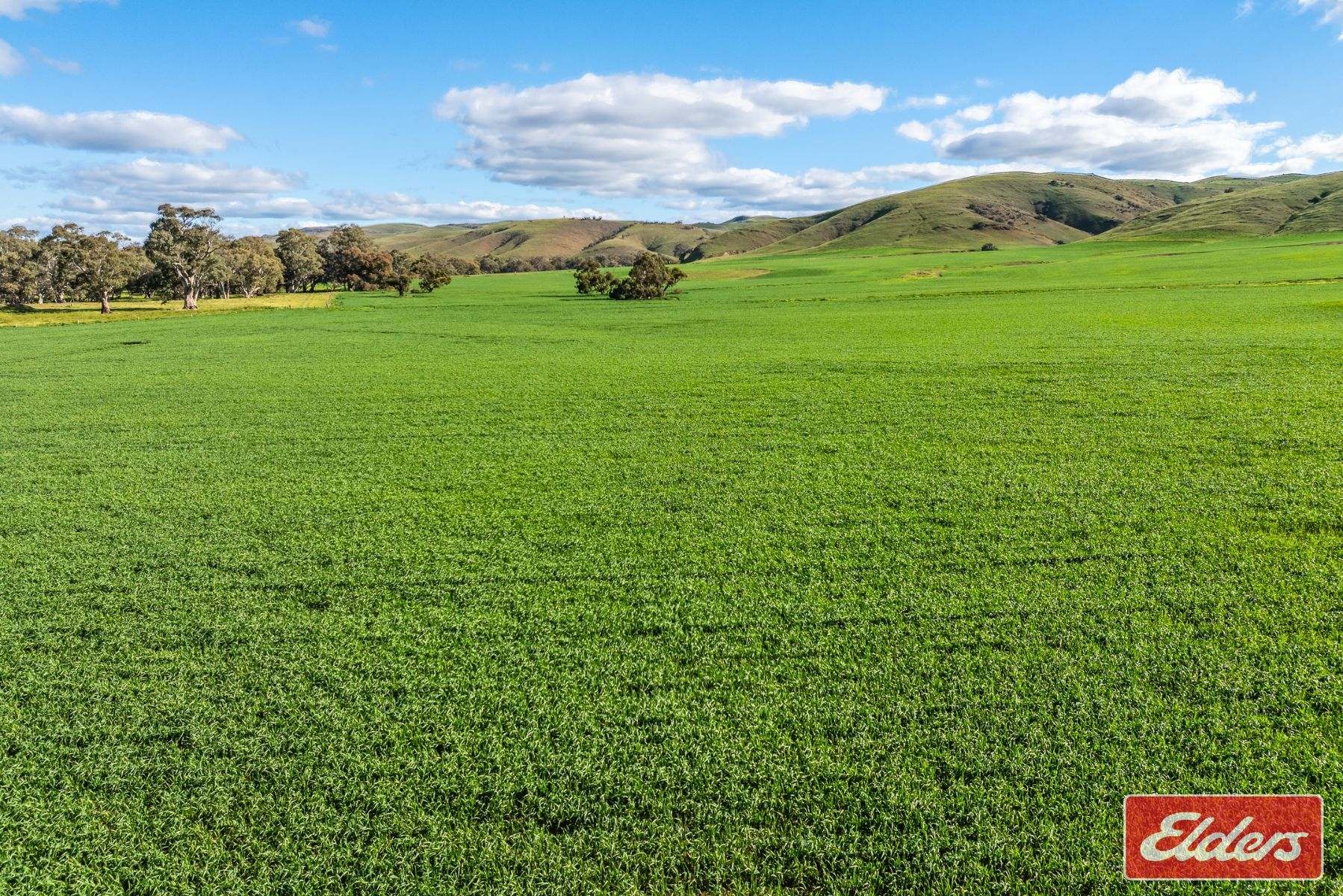 997 Three Chain Road, Cambrai For Sale by Farmbuy.com - image 29