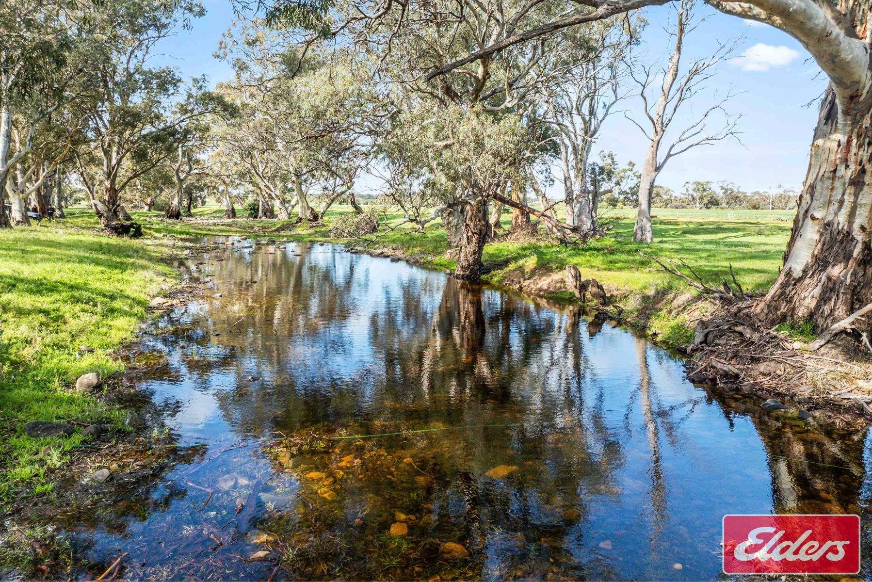 997 Three Chain Road, Cambrai For Sale by Farmbuy.com - image 22