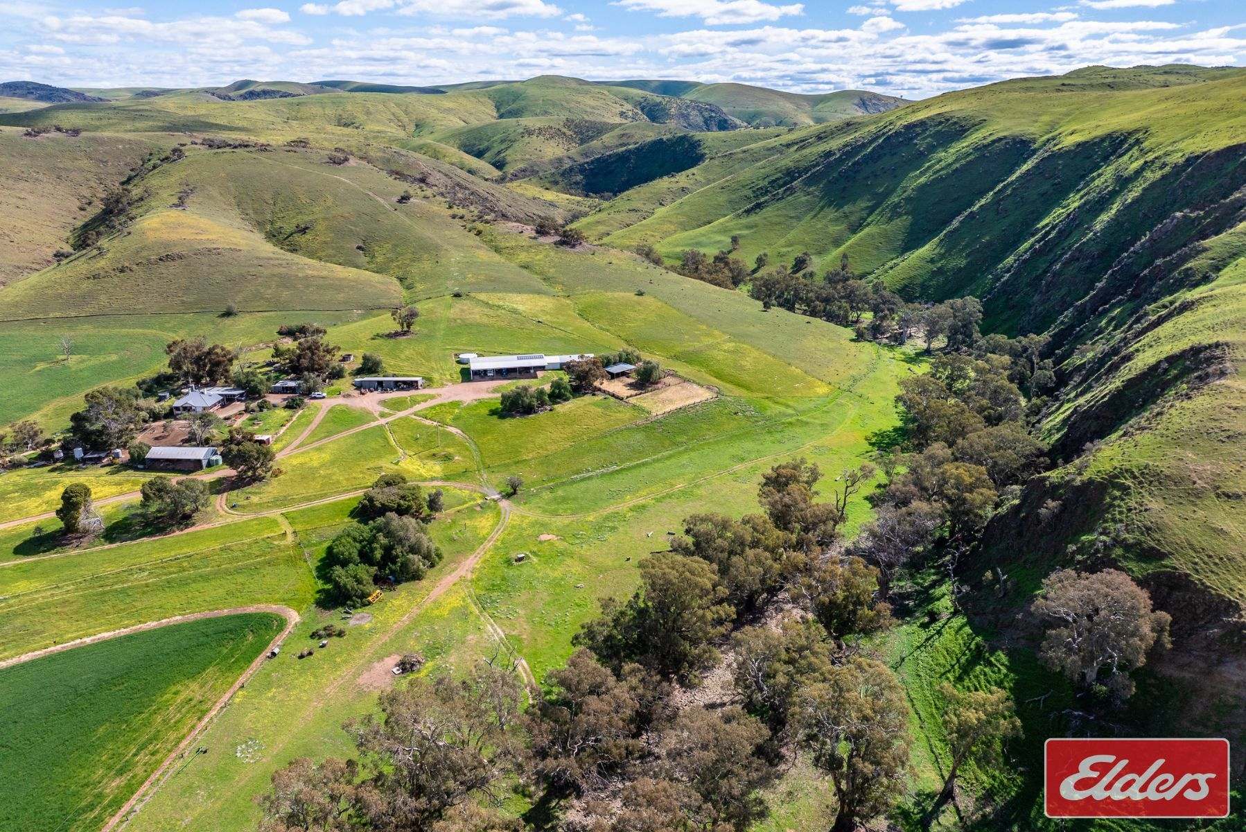997 Three Chain Road, Cambrai For Sale by Farmbuy.com - image 9