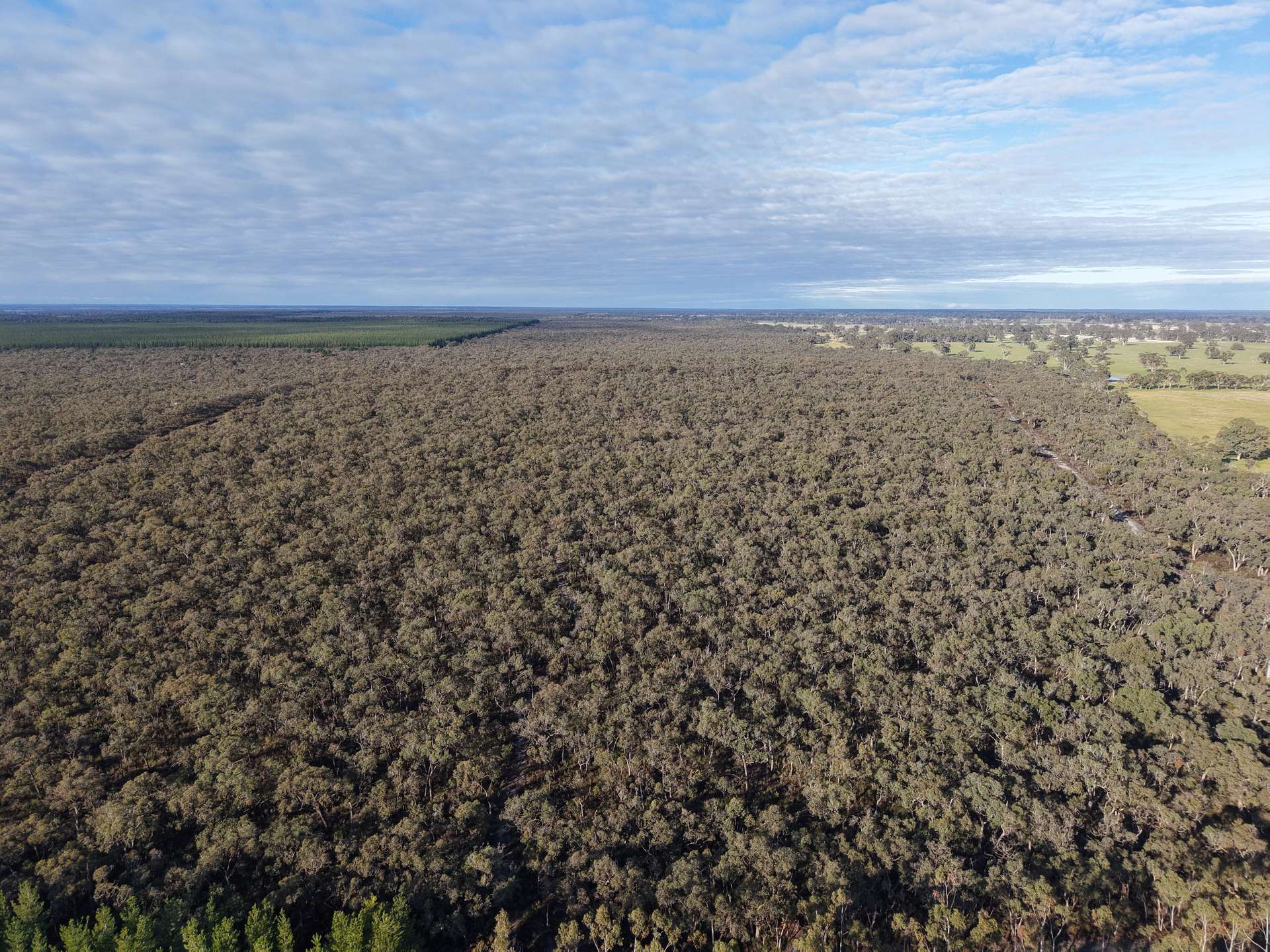 Lot 2 Jim Ryans Road, Edenhope For Sale by Farmbuy.com - image 3