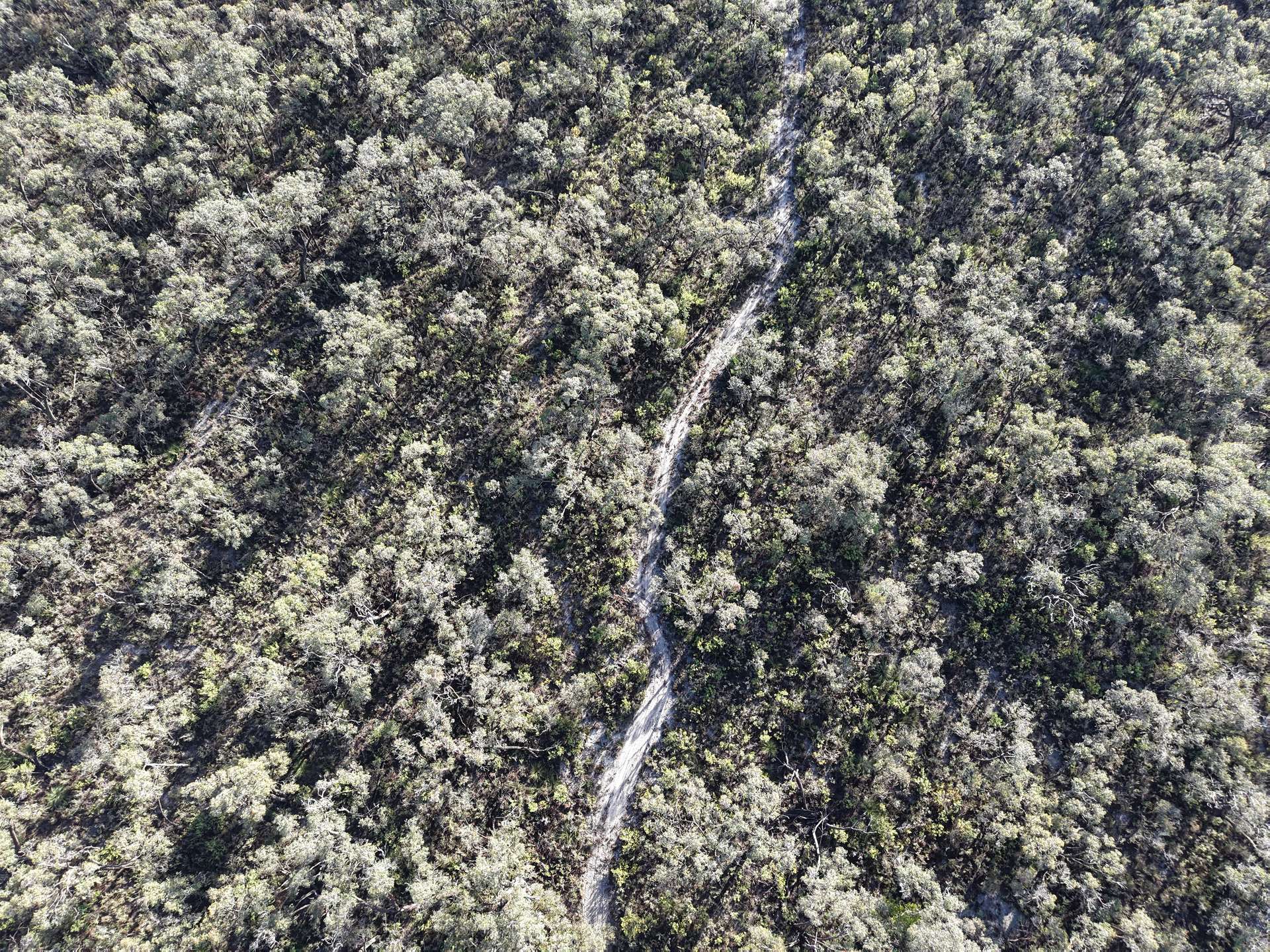 Lot 2 Jim Ryans Road, Edenhope For Sale by Farmbuy.com - image 6