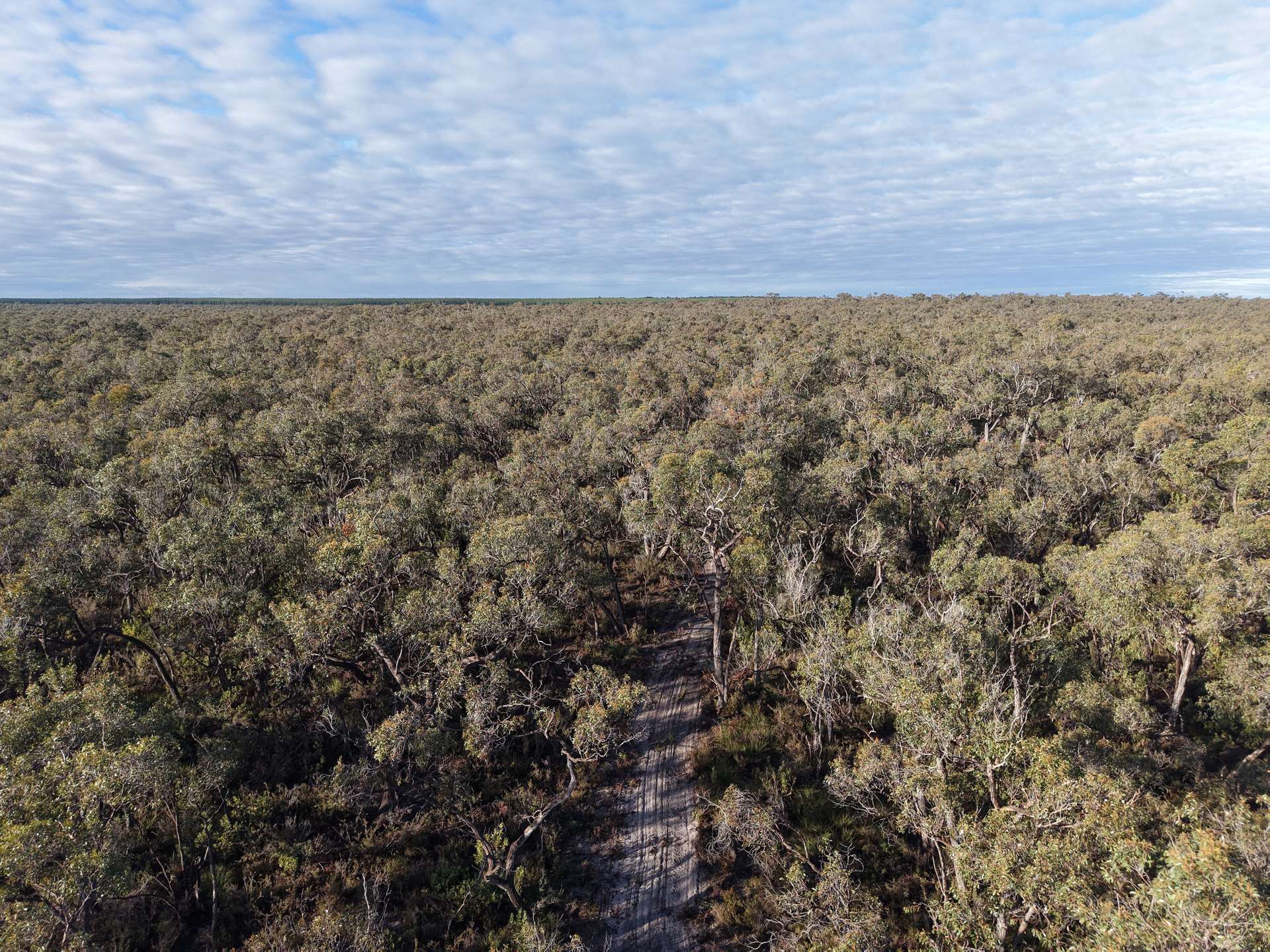 Lot 2 Jim Ryans Road, Edenhope For Sale by Farmbuy.com - image 5