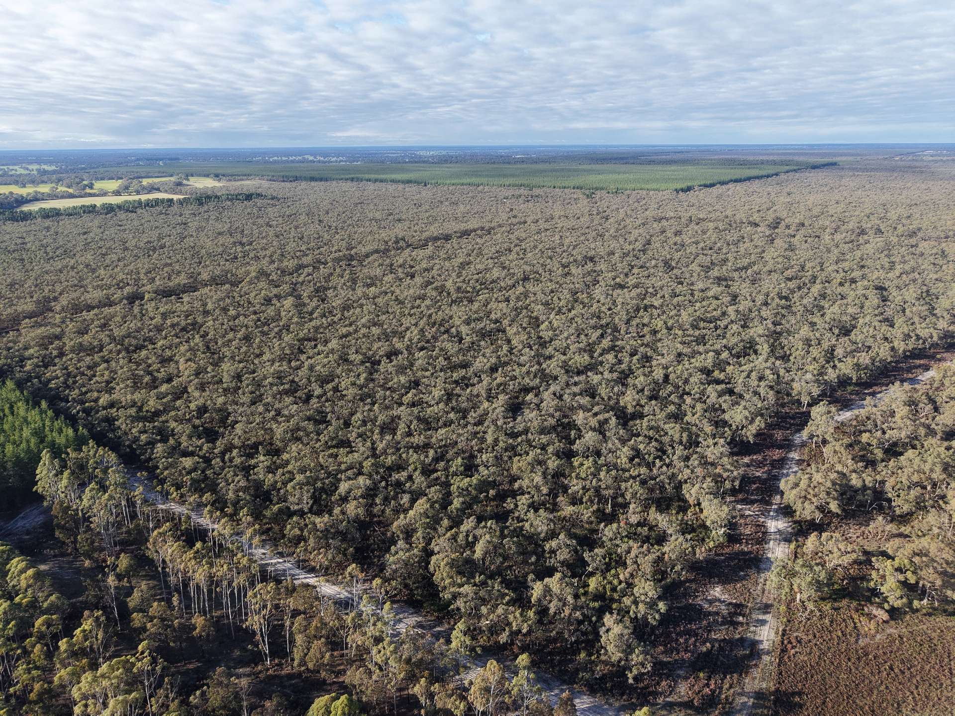 Lot 2 Jim Ryans Road, Edenhope For Sale by Farmbuy.com - image 2