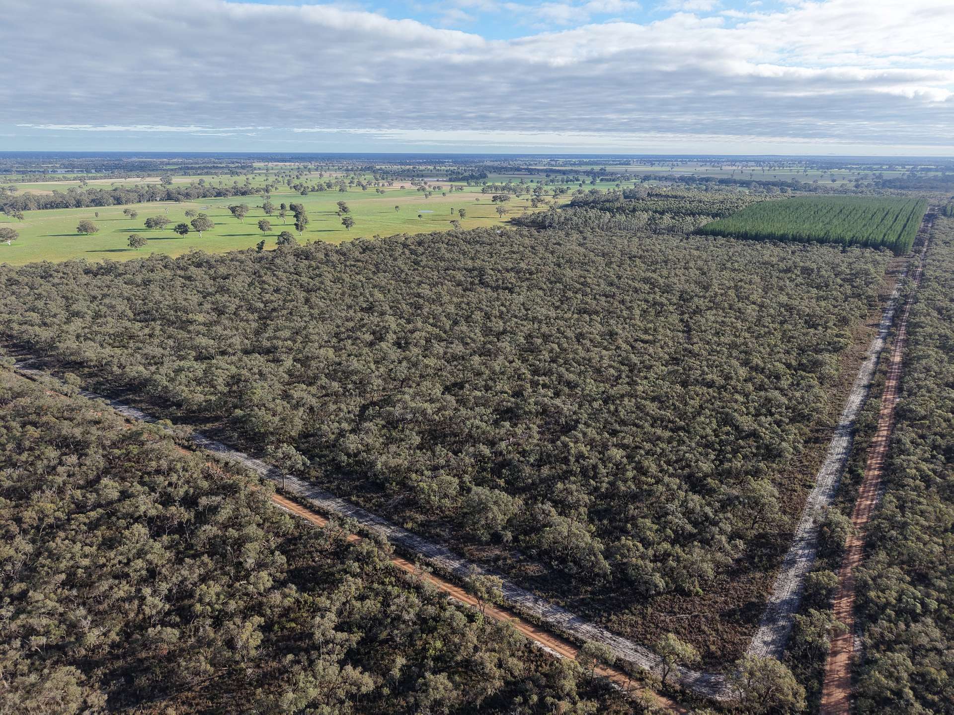 Lot 2 Jim Ryans Road, Edenhope For Sale by Farmbuy.com - image 4