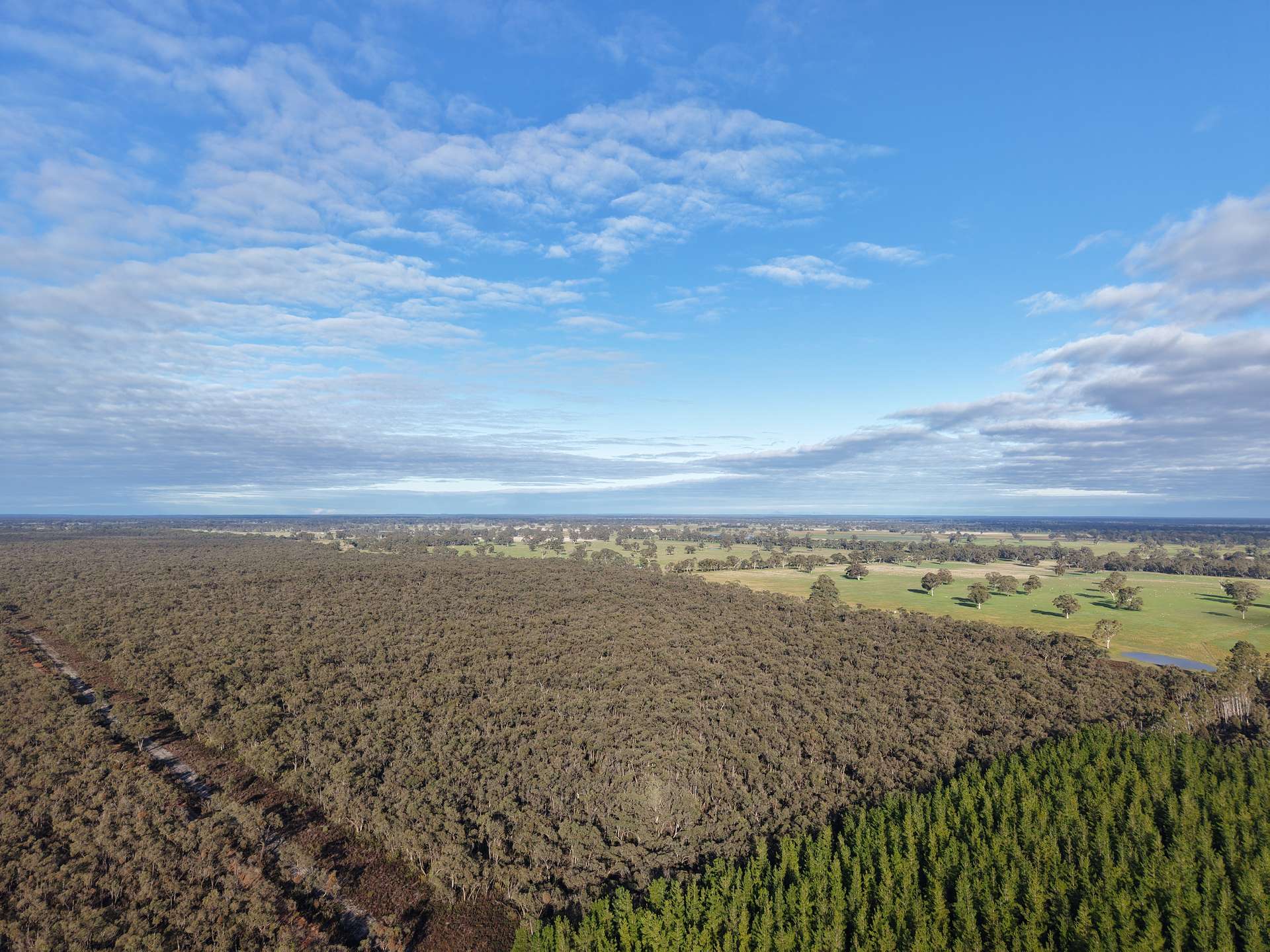 Lot 2 Jim Ryans Road, Edenhope For Sale by Farmbuy.com - image 1