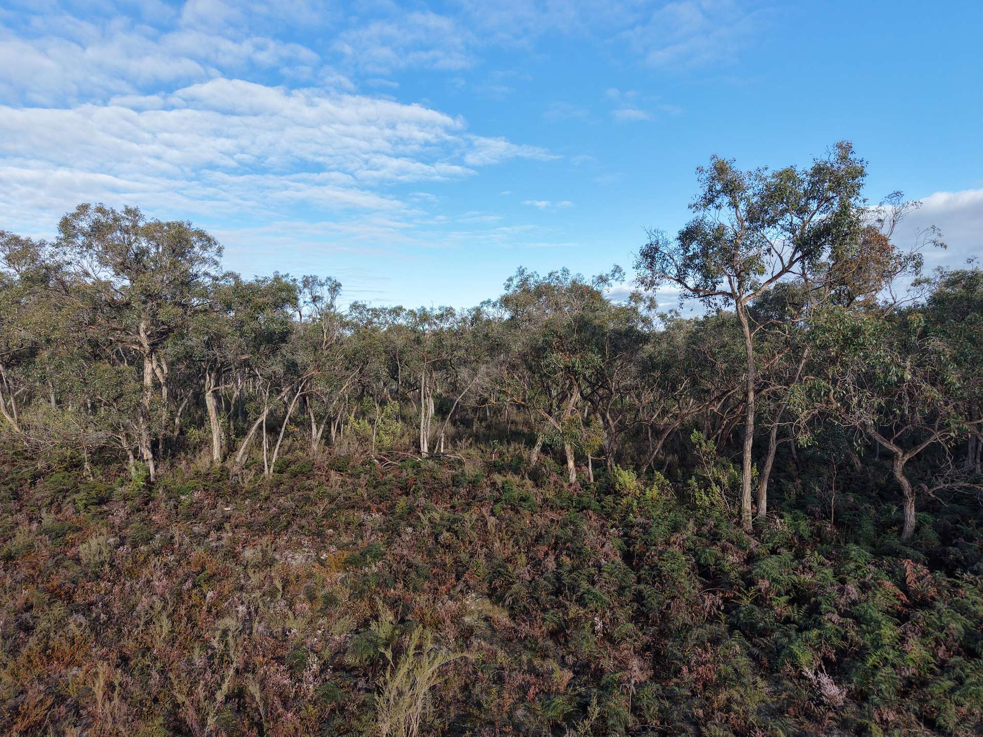Lot 2 Jim Ryans Road, Edenhope For Sale by Farmbuy.com - image 7
