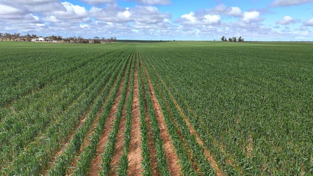 'Garel' 2494 Mallee Highway, Manangatang VIC 3546