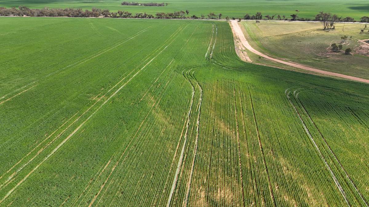 'Garel' 2494 Mallee Highway, Manangatang Sold by Farmbuy.com - image 12