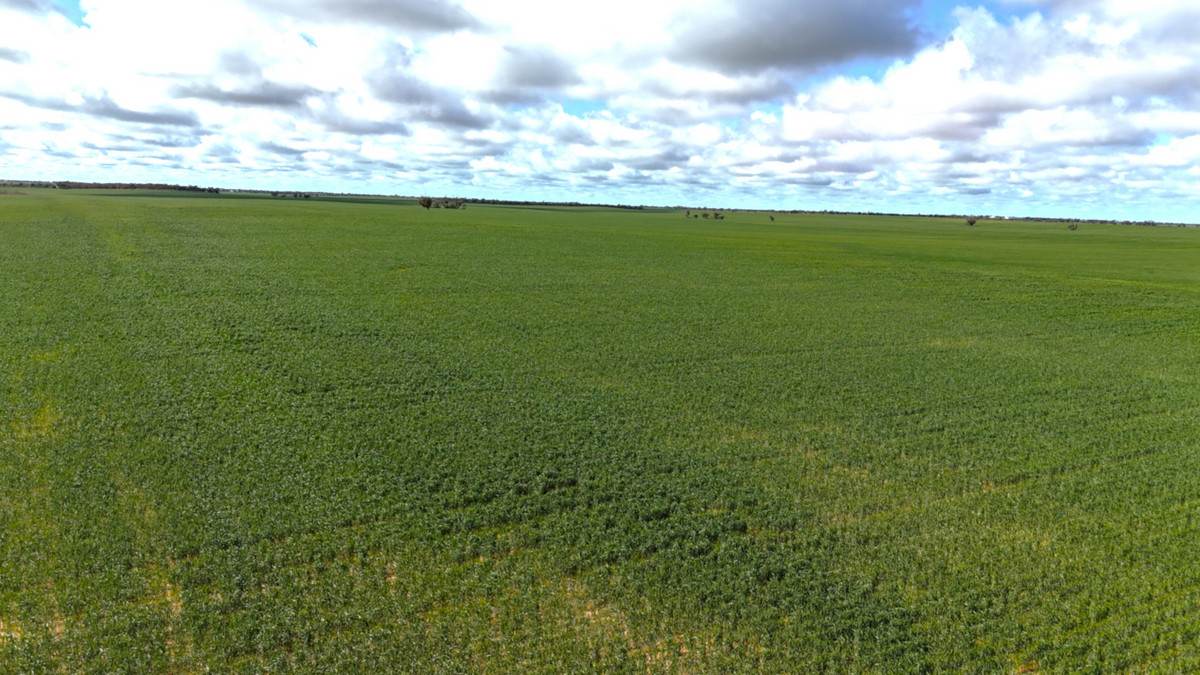 'Garel' 2494 Mallee Highway, Manangatang Sold by Farmbuy.com - image 15