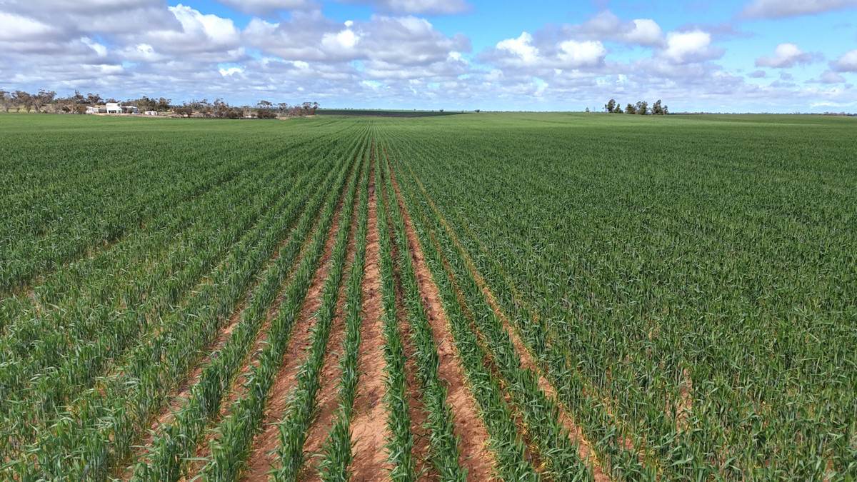'Garel' 2494 Mallee Highway, Manangatang Sold by Farmbuy.com - image 1