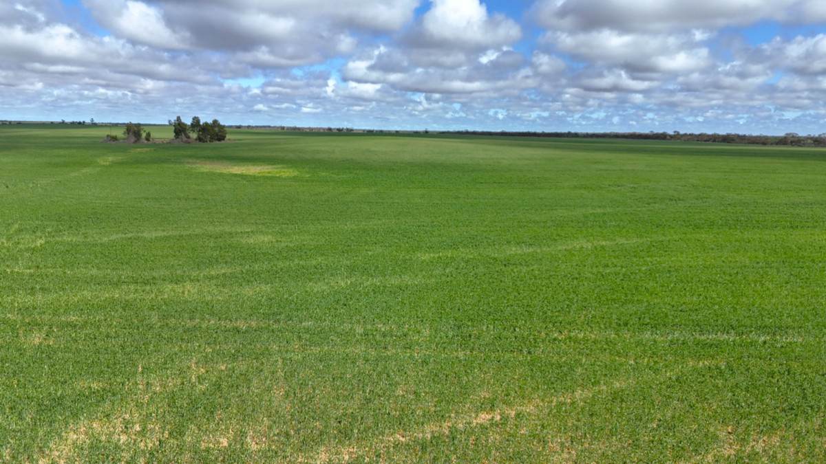 'Garel' 2494 Mallee Highway, Manangatang Sold by Farmbuy.com - image 13