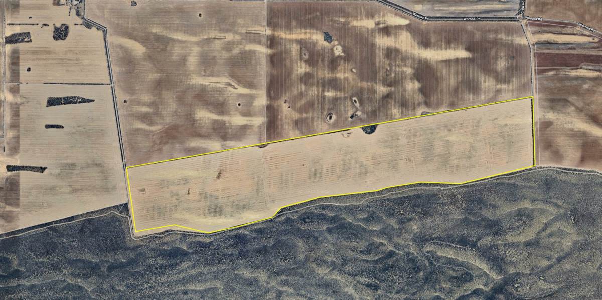 'Buffalo Bend' 50A Morrison Road, Linga For Sale by Farmbuy.com - image 10