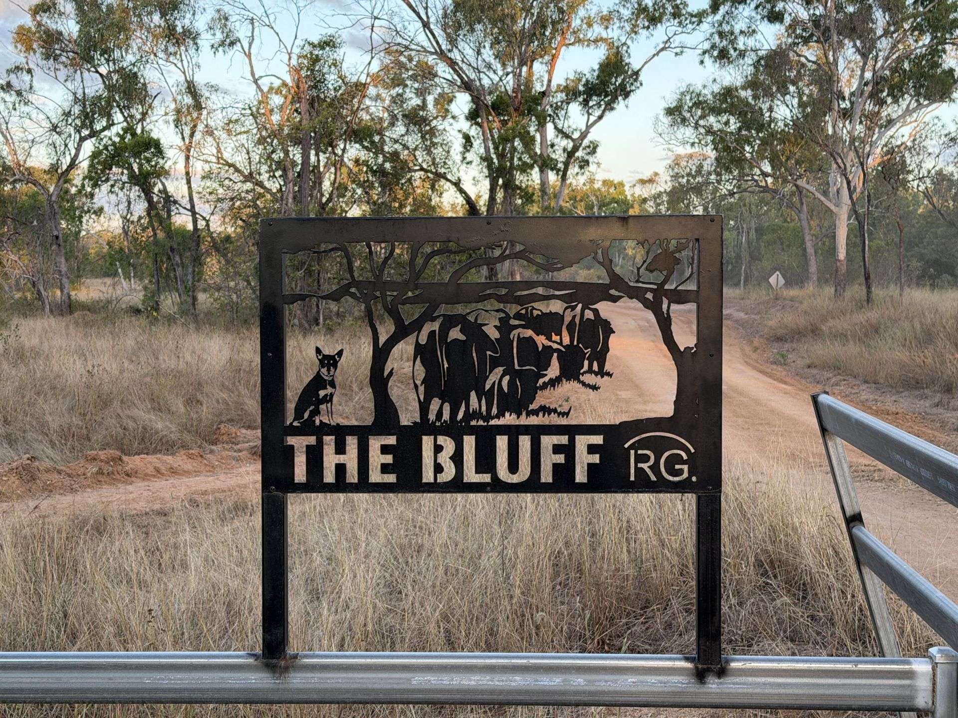 3153 Bluff Road, Seventy Mile Auction by Farmbuy.com - image 28