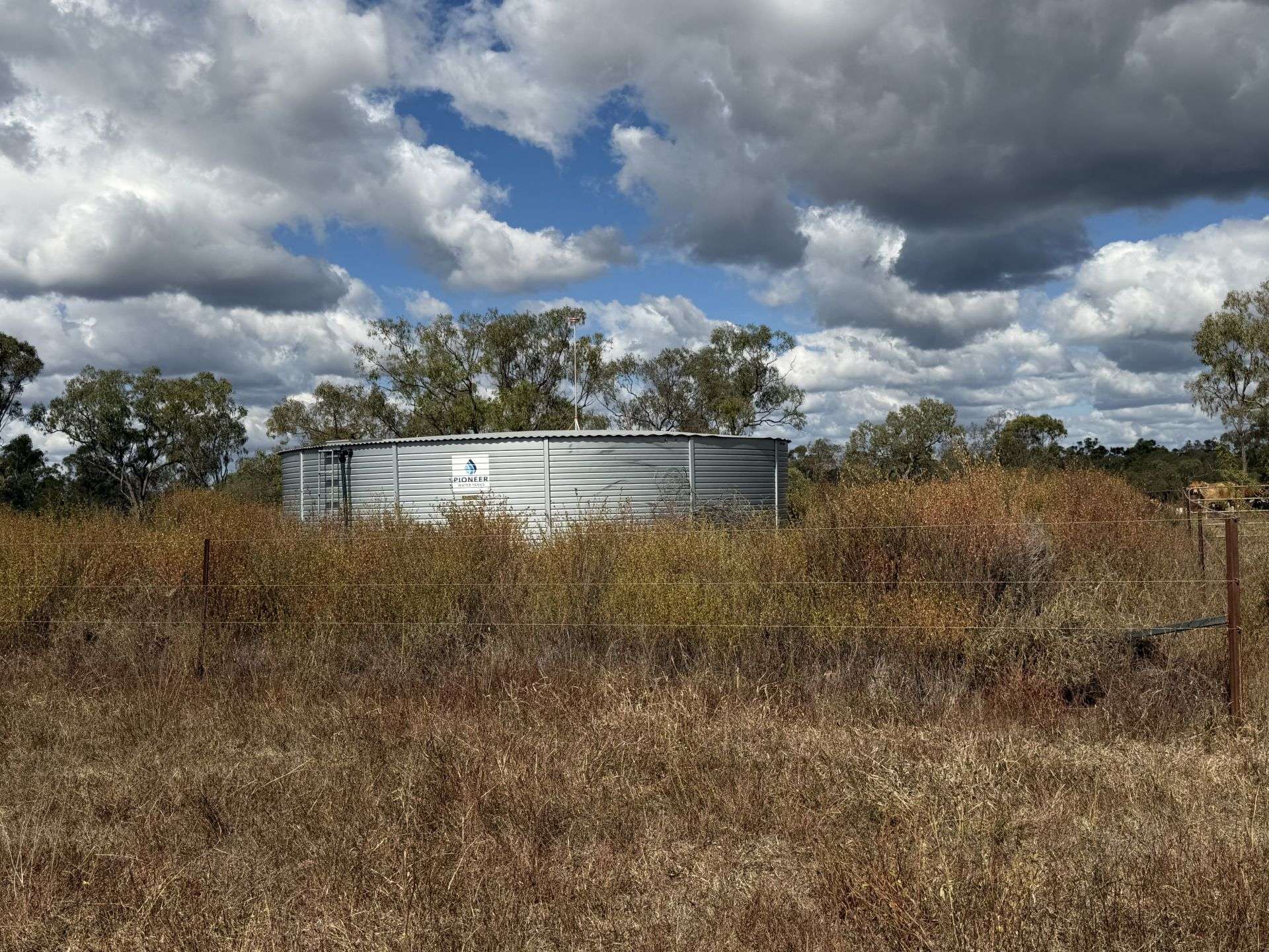 3153 Bluff Road, Seventy Mile Auction by Farmbuy.com - image 16