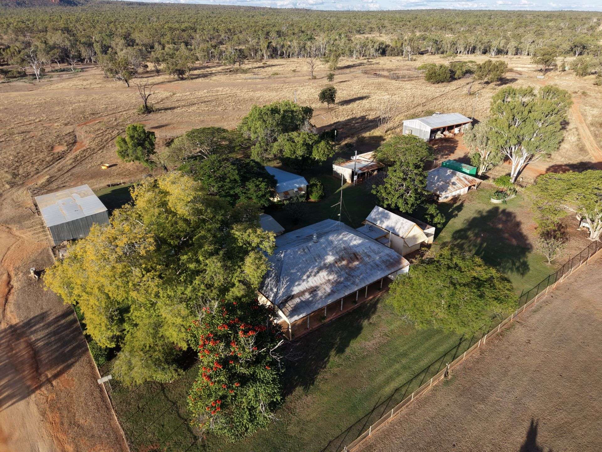 3153 Bluff Road, Seventy Mile Auction by Farmbuy.com - image 27