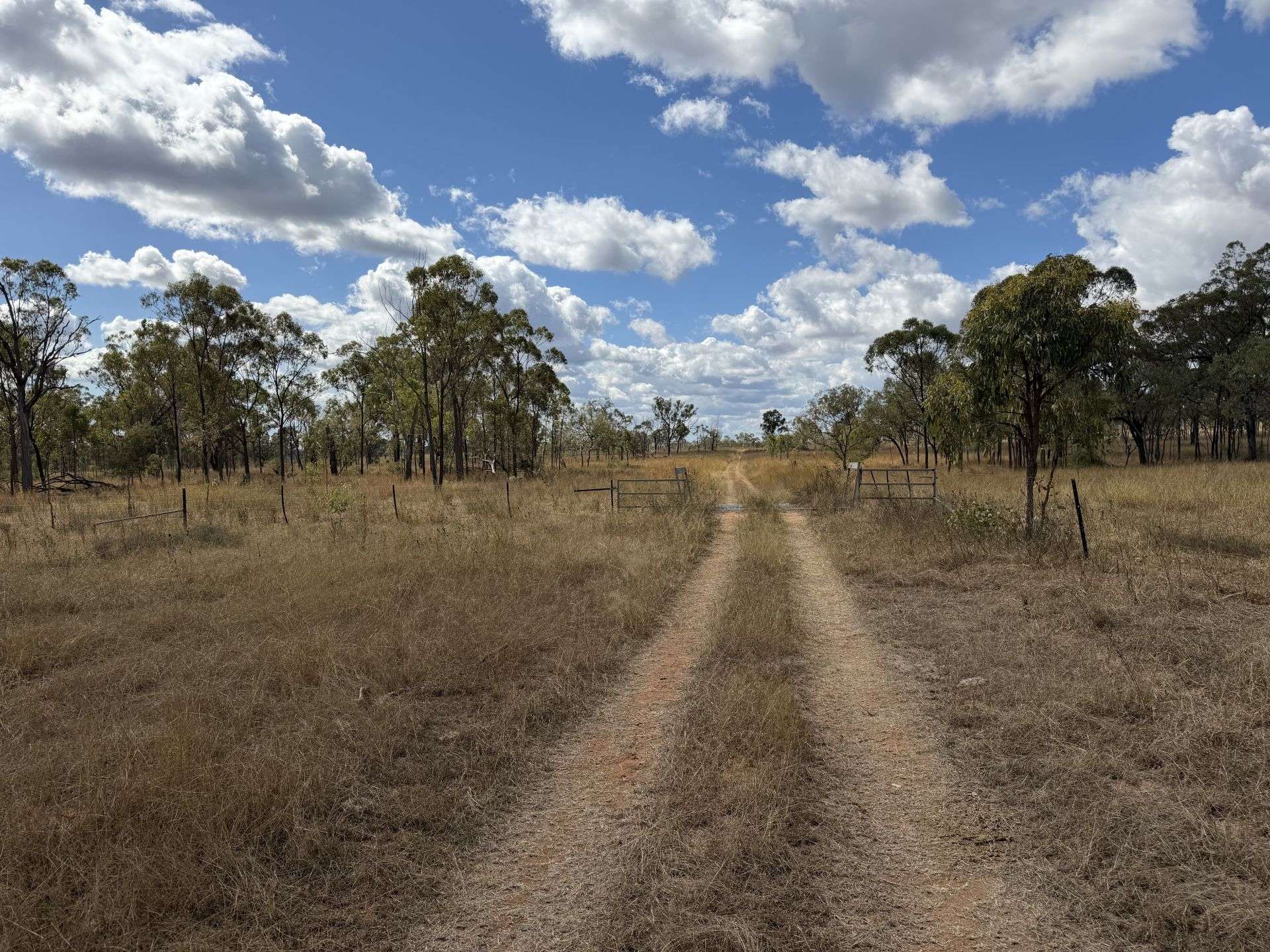 3153 Bluff Road, Seventy Mile Auction by Farmbuy.com - image 12