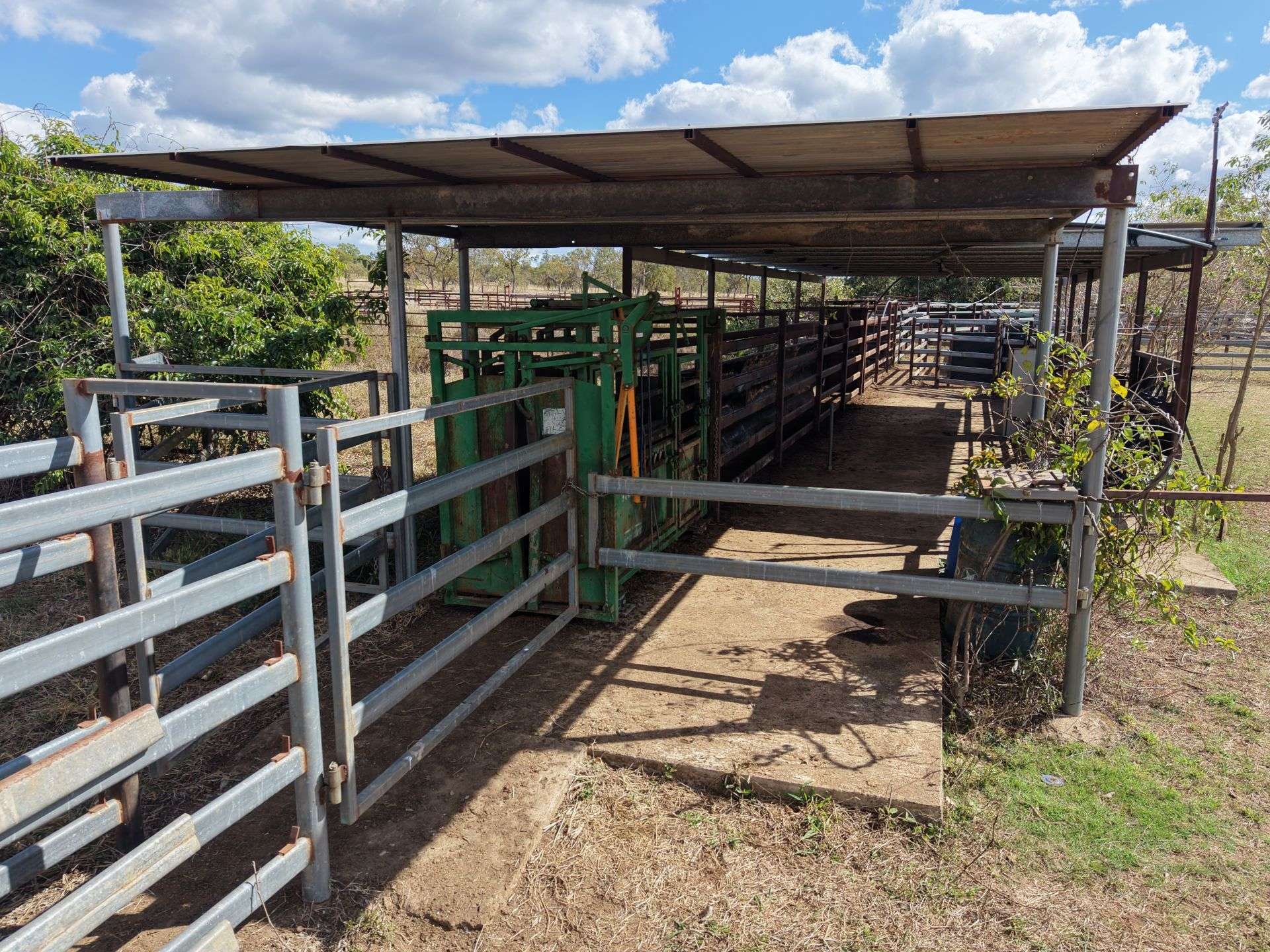 3153 Bluff Road, Seventy Mile Auction by Farmbuy.com - image 23