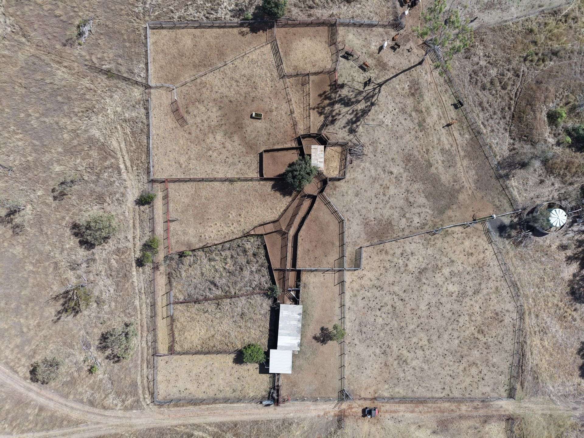 3153 Bluff Road, Seventy Mile Auction by Farmbuy.com - image 22