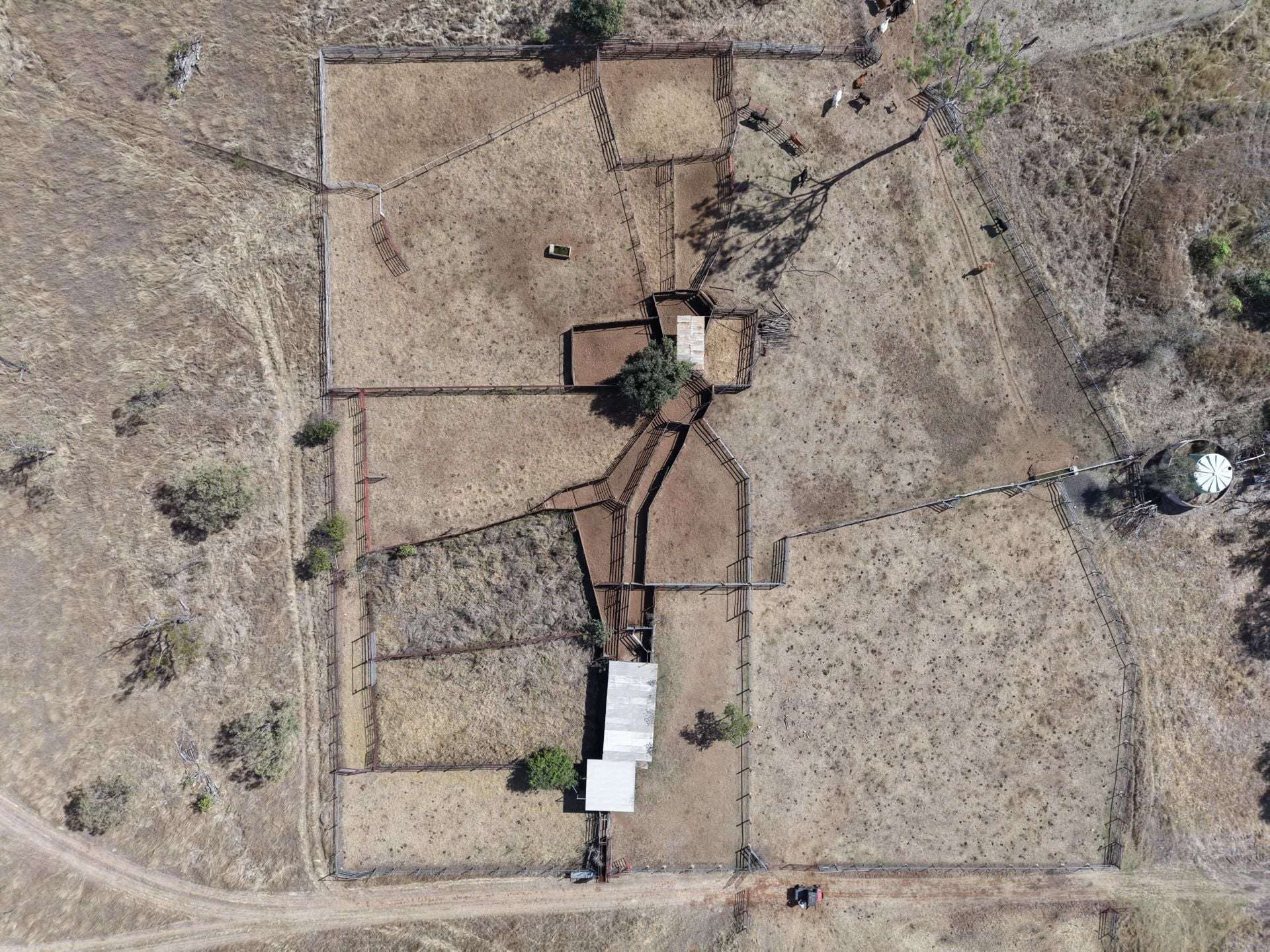 3153 Bluff Road, Seventy Mile Auction by Farmbuy.com - image 22