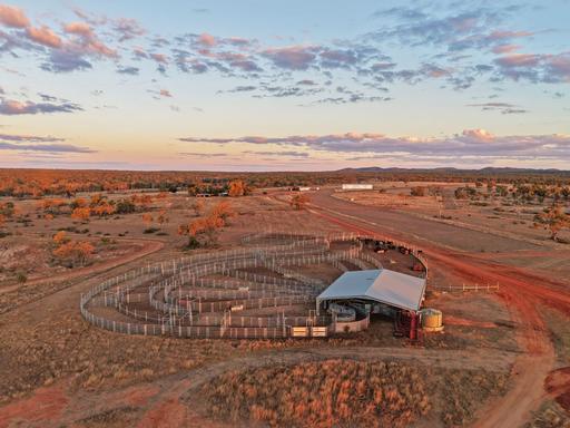 Farm Auction - QLD - Seventy Mile - 4820 - The Bluff - Highly Developed Efficient Beef Breeding & Backgrounding Enterprise 
