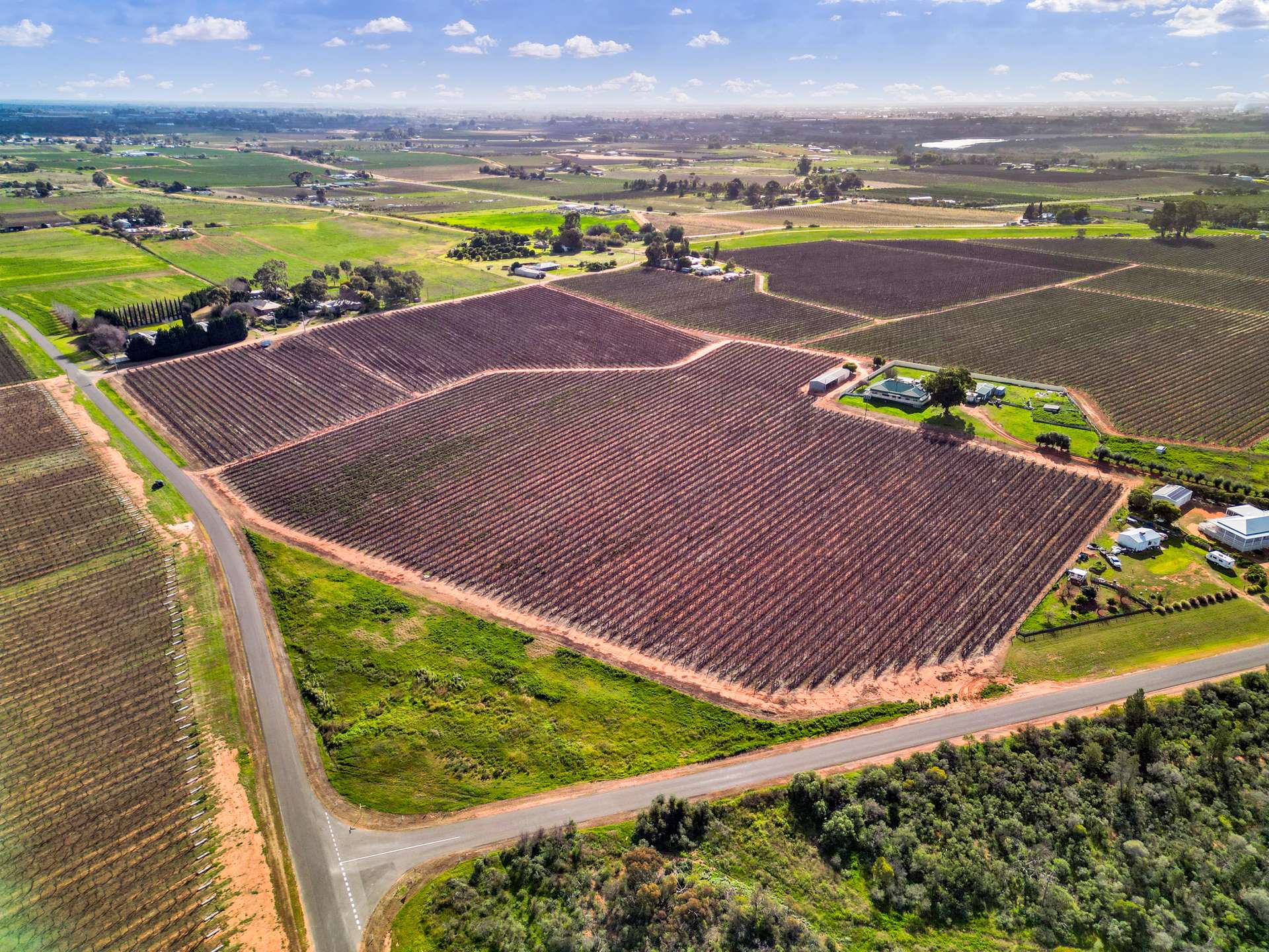 157 Cassia Street, Red Cliffs For Sale by Farmbuy.com - image 6