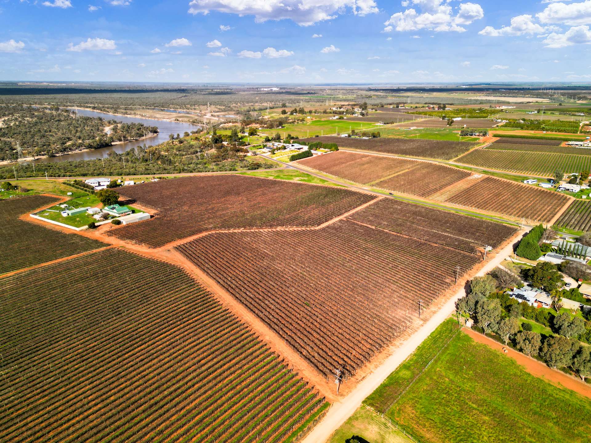 157 Cassia Street, Red Cliffs For Sale by Farmbuy.com - image 5