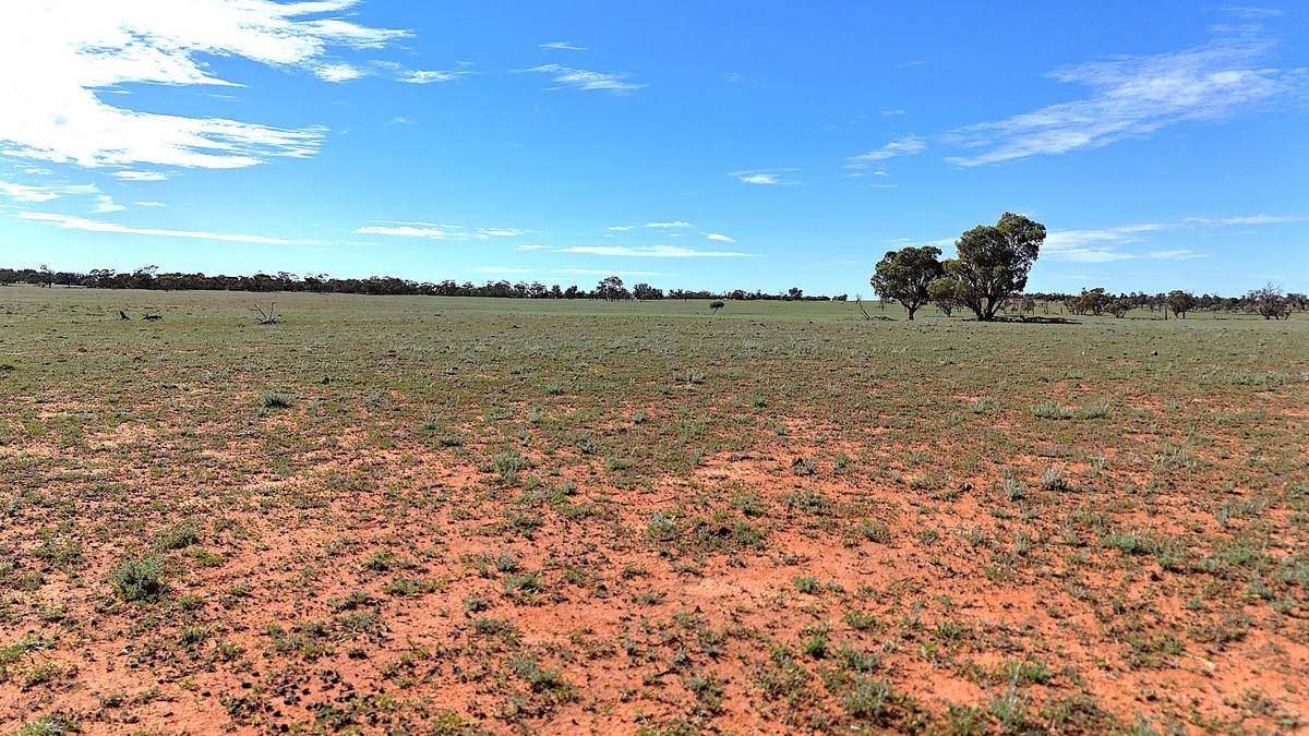 'Pinewood' Wentworth/Pooncarie Road, Wentworth For Sale by Farmbuy.com - image 19