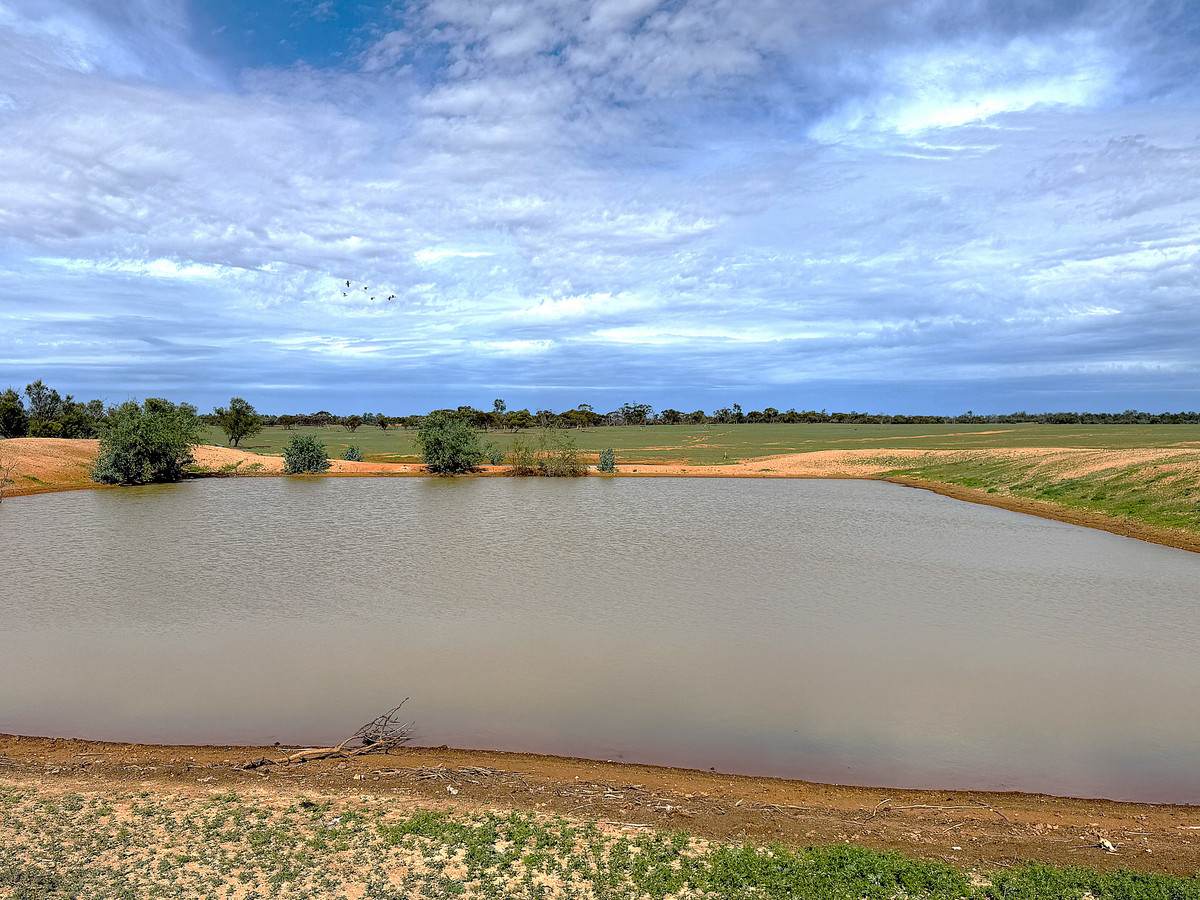 'Pinewood' Wentworth/Pooncarie Road, Wentworth For Sale by Farmbuy.com - image 16