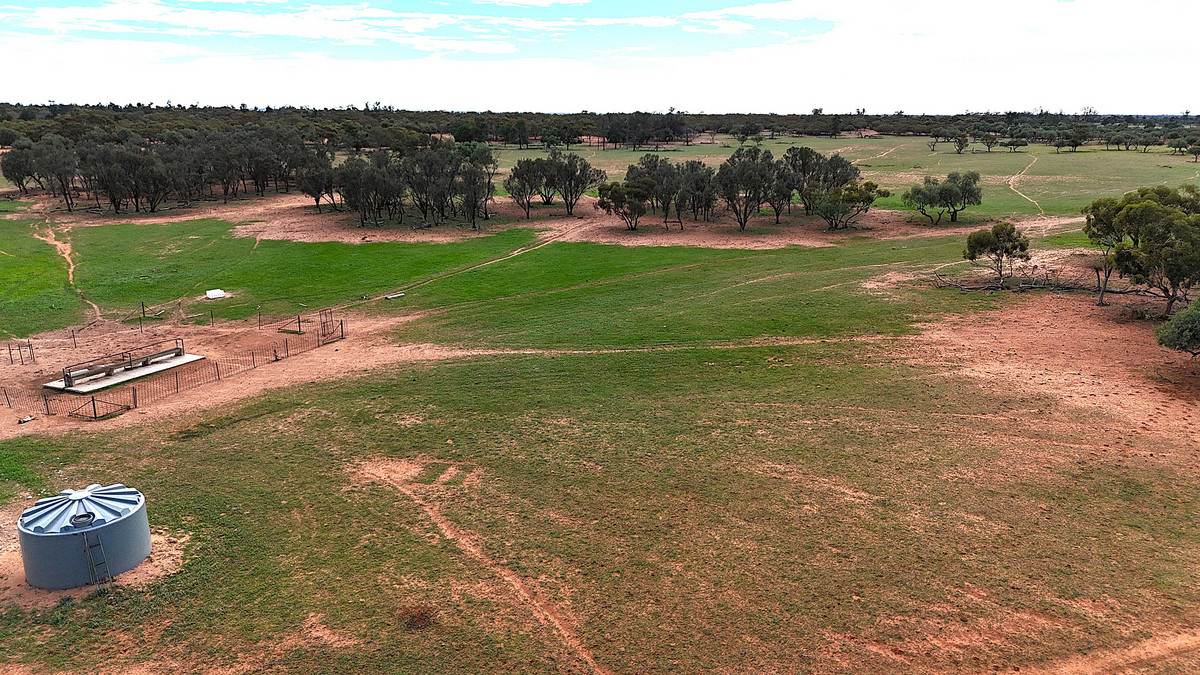 'Pinewood' Wentworth/Pooncarie Road, Wentworth For Sale by Farmbuy.com - image 3