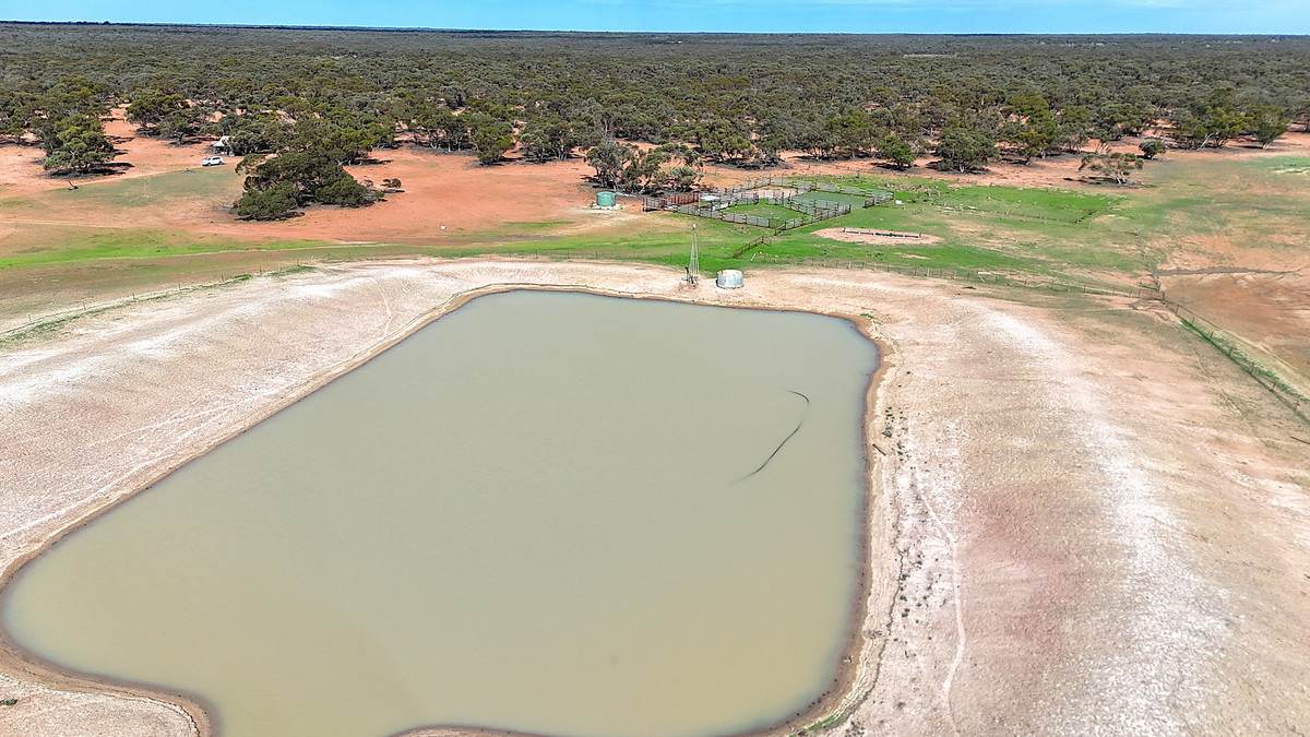 'Pinewood' Wentworth/Pooncarie Road, Wentworth For Sale by Farmbuy.com - image 5