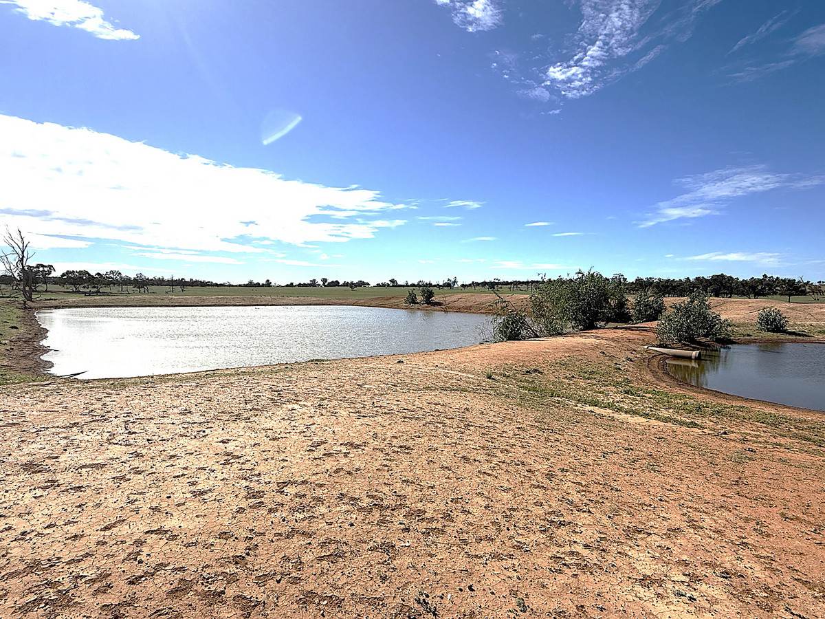 'Pinewood' Wentworth/Pooncarie Road, Wentworth For Sale by Farmbuy.com - image 11