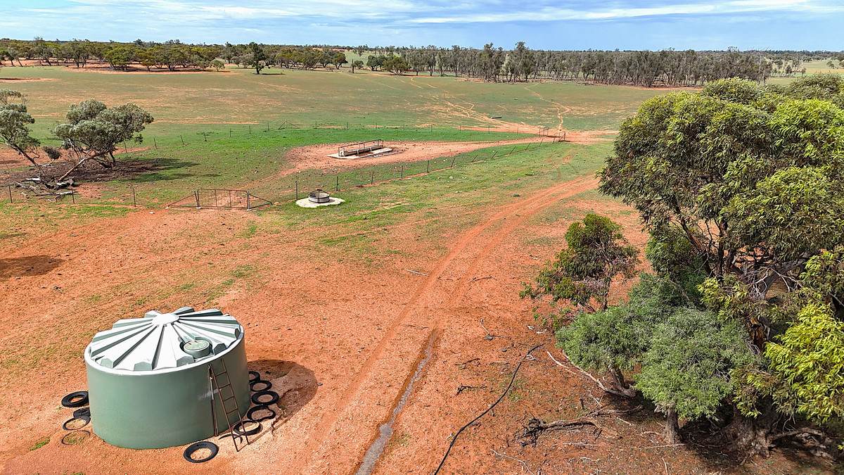 'Pinewood' Wentworth/Pooncarie Road, Wentworth For Sale by Farmbuy.com - image 10