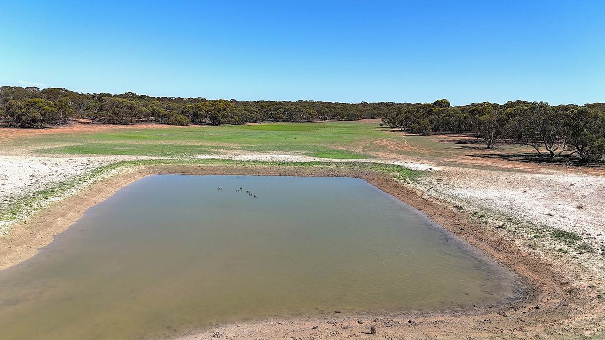 'Pinewood' Wentworth/Pooncarie Road, Wentworth For Sale by Farmbuy.com - image 13