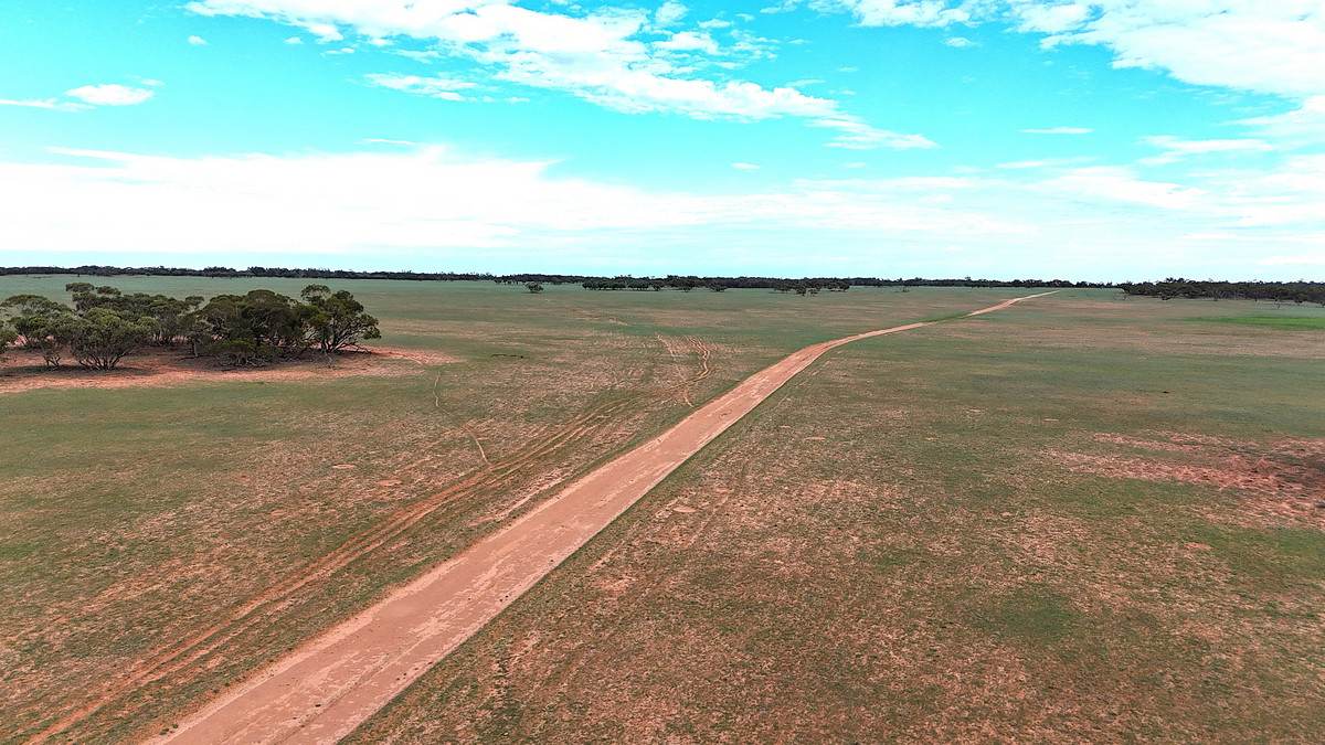 'Pinewood' Wentworth/Pooncarie Road, Wentworth For Sale by Farmbuy.com - image 4