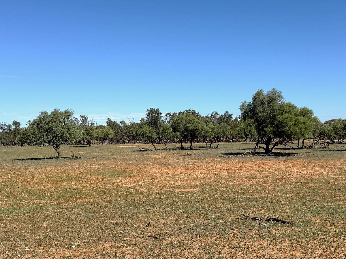 'Pinewood' Wentworth/Pooncarie Road, Wentworth For Sale by Farmbuy.com - image 27