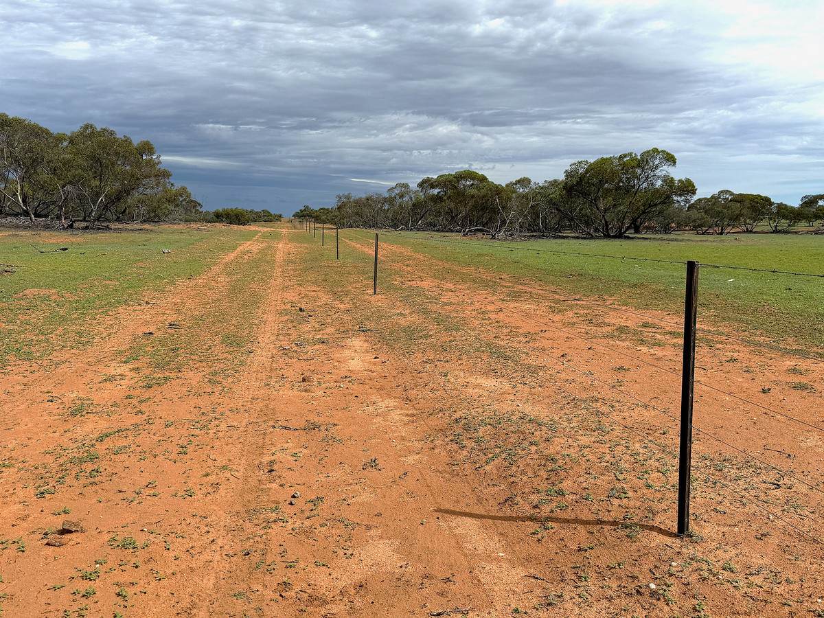 'Pinewood' Wentworth/Pooncarie Road, Wentworth For Sale by Farmbuy.com - image 24