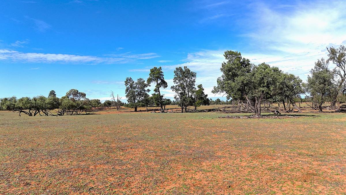 'Pinewood' Wentworth/Pooncarie Road, Wentworth For Sale by Farmbuy.com - image 18