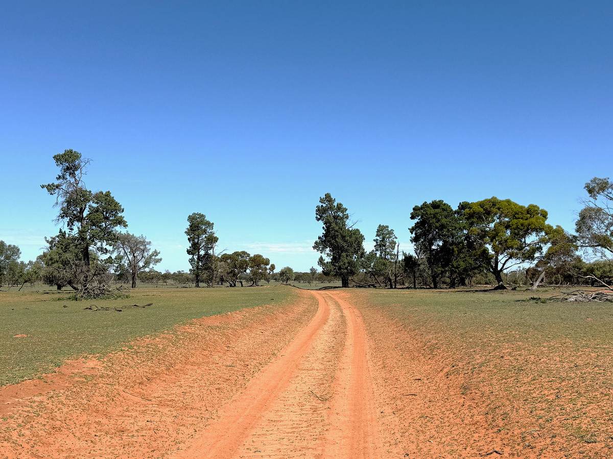 'Pinewood' Wentworth/Pooncarie Road, Wentworth For Sale by Farmbuy.com - image 26