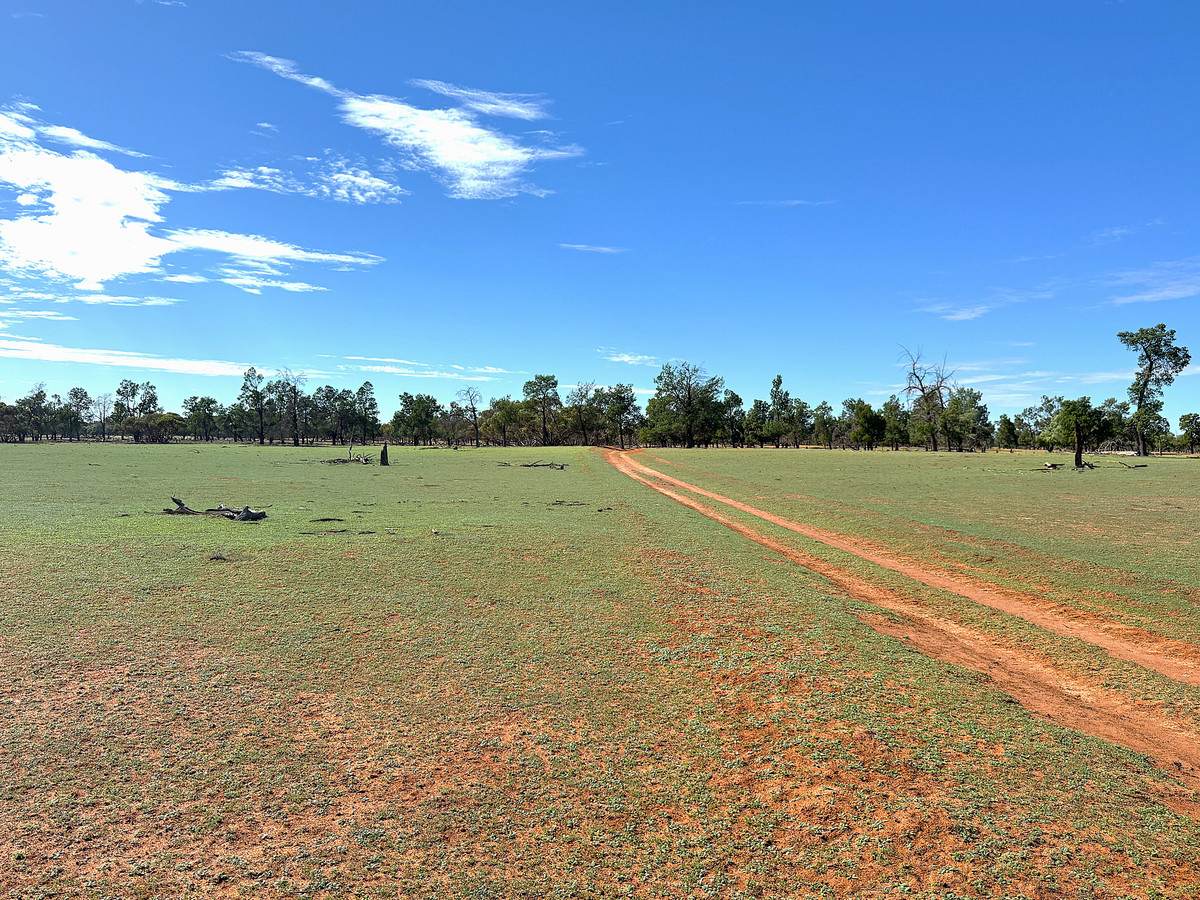 'Pinewood' Wentworth/Pooncarie Road, Wentworth For Sale by Farmbuy.com - image 20