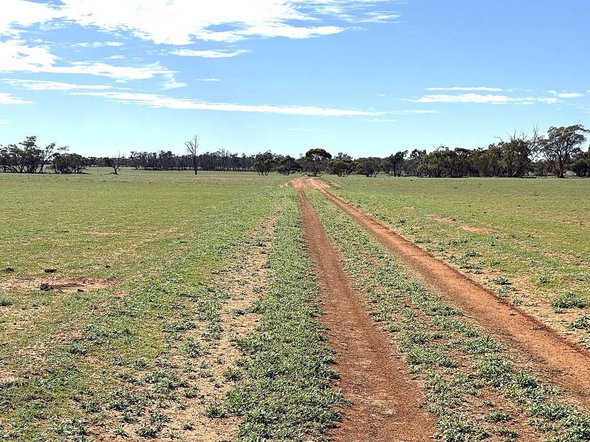'Pinewood' Wentworth/Pooncarie Road, Wentworth For Sale by Farmbuy.com - image 22