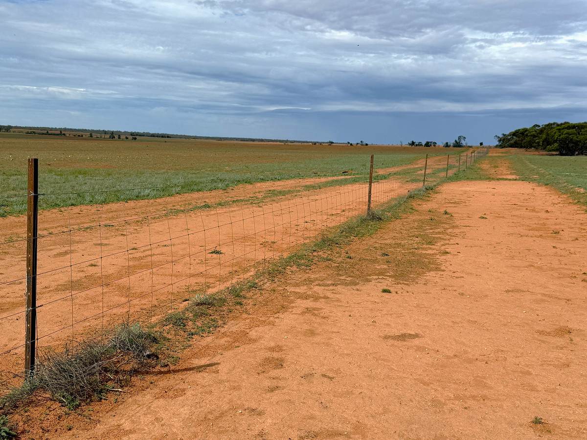 'Pinewood' Wentworth/Pooncarie Road, Wentworth For Sale by Farmbuy.com - image 23