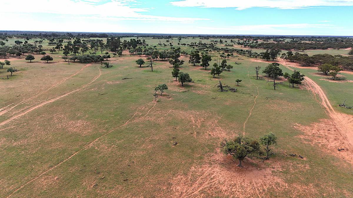 'Pinewood' Wentworth/Pooncarie Road, Wentworth For Sale by Farmbuy.com - image 2