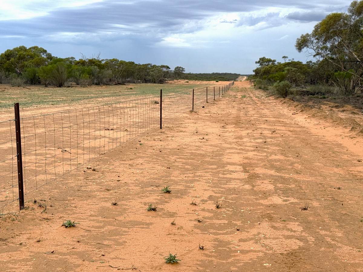 'Pinewood' Wentworth/Pooncarie Road, Wentworth For Sale by Farmbuy.com - image 25