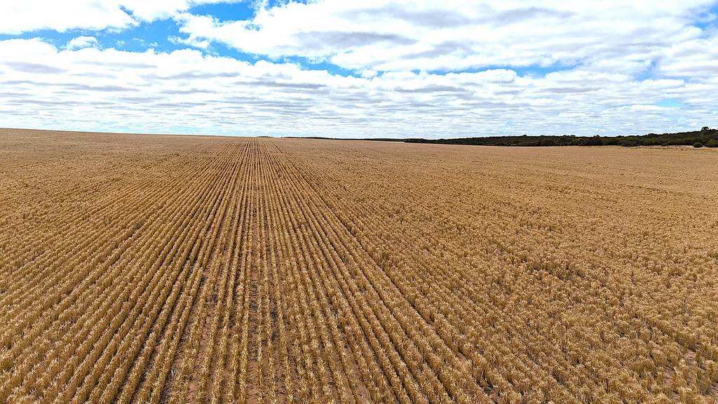 'Watsons' Worooa Road, Underbool VIC 3509