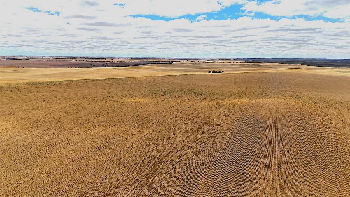'Watsons' Worooa Road, Underbool For Sale by Farmbuy.com - image 12