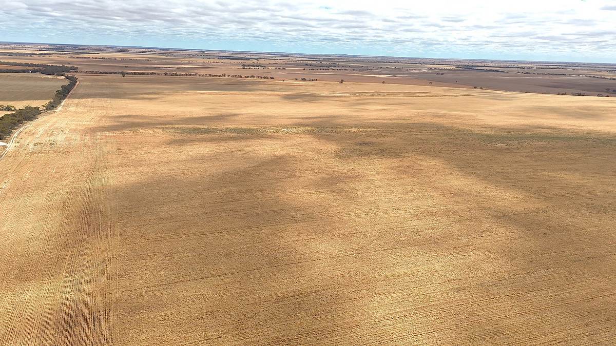 'Watsons' Worooa Road, Underbool For Sale by Farmbuy.com - image 13