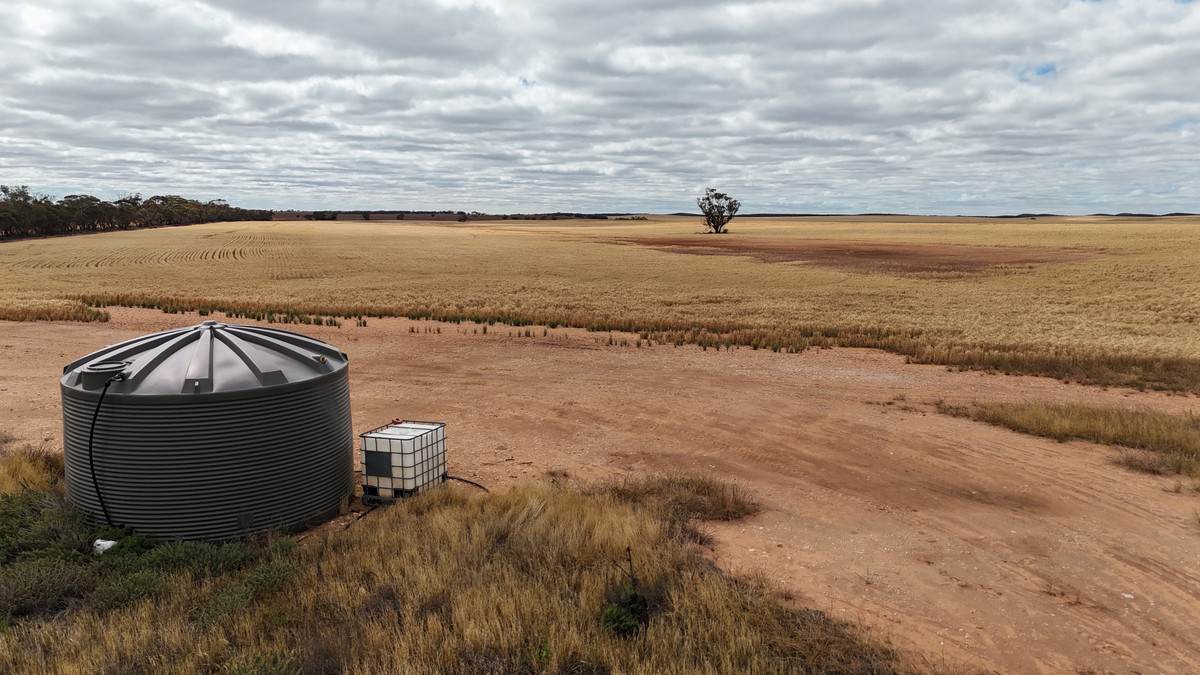 'Watsons' Worooa Road, Underbool For Sale by Farmbuy.com - image 11