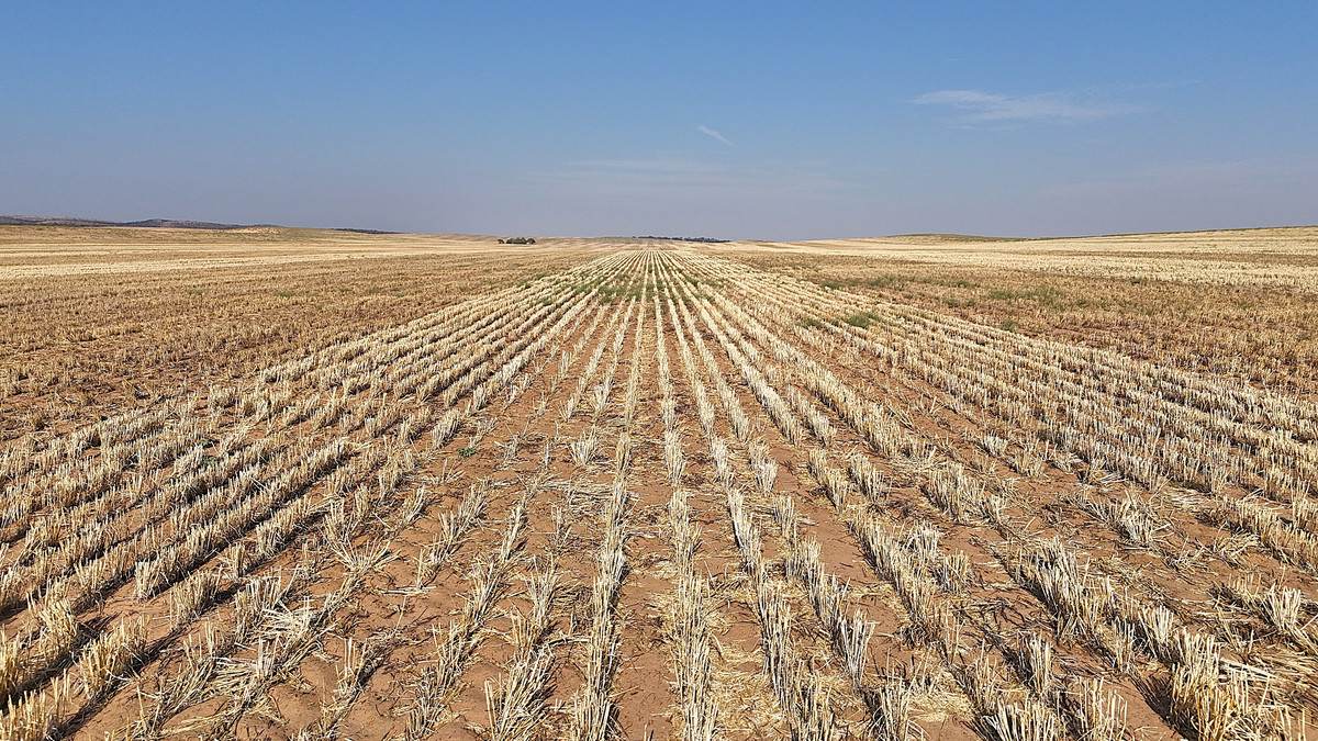 'Watsons' Worooa Road, Underbool For Sale by Farmbuy.com - image 21